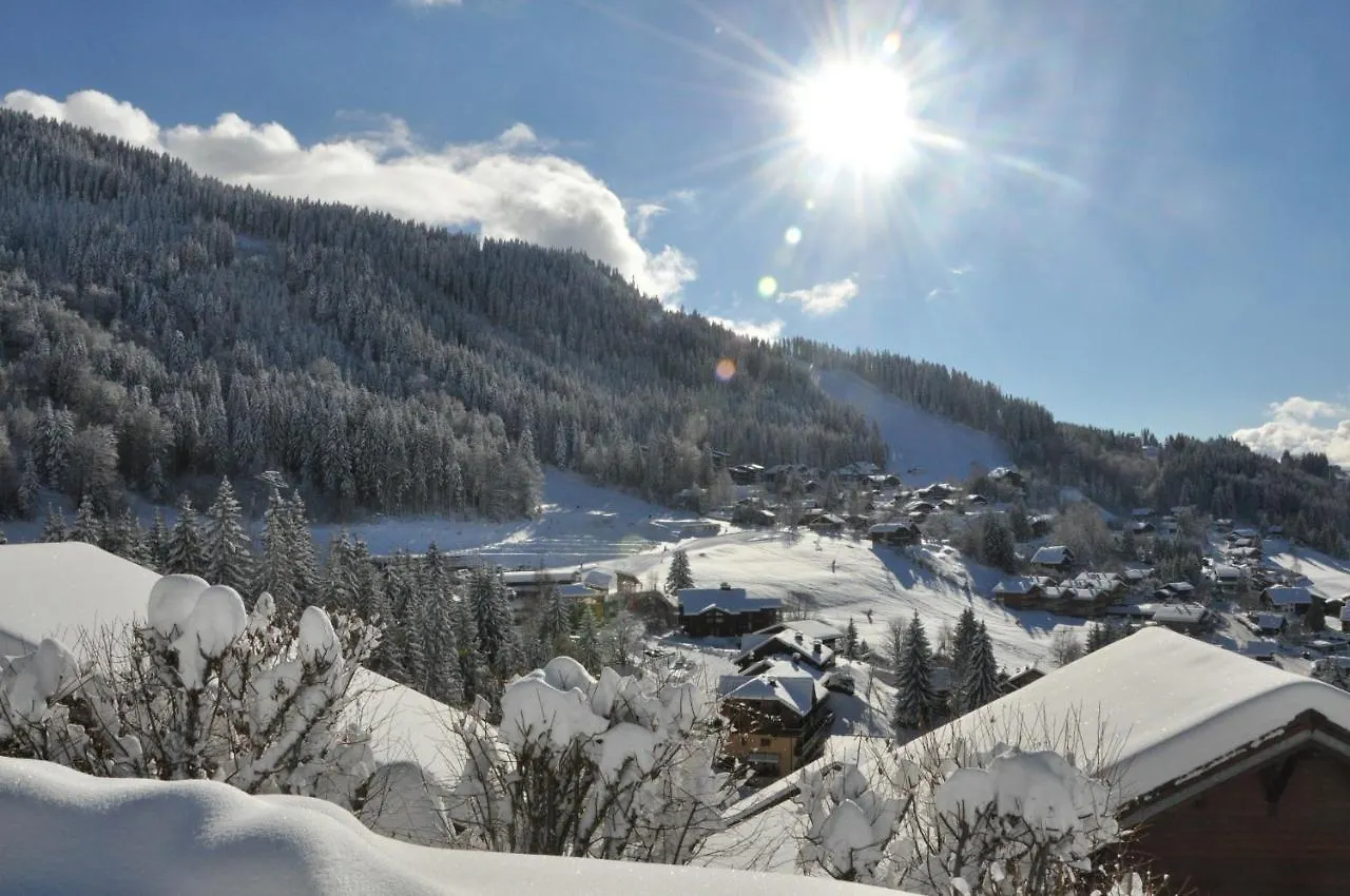 Apartment Ca116 Studio 4 Pers Centre Des Carroz Les Carroz d'Araches